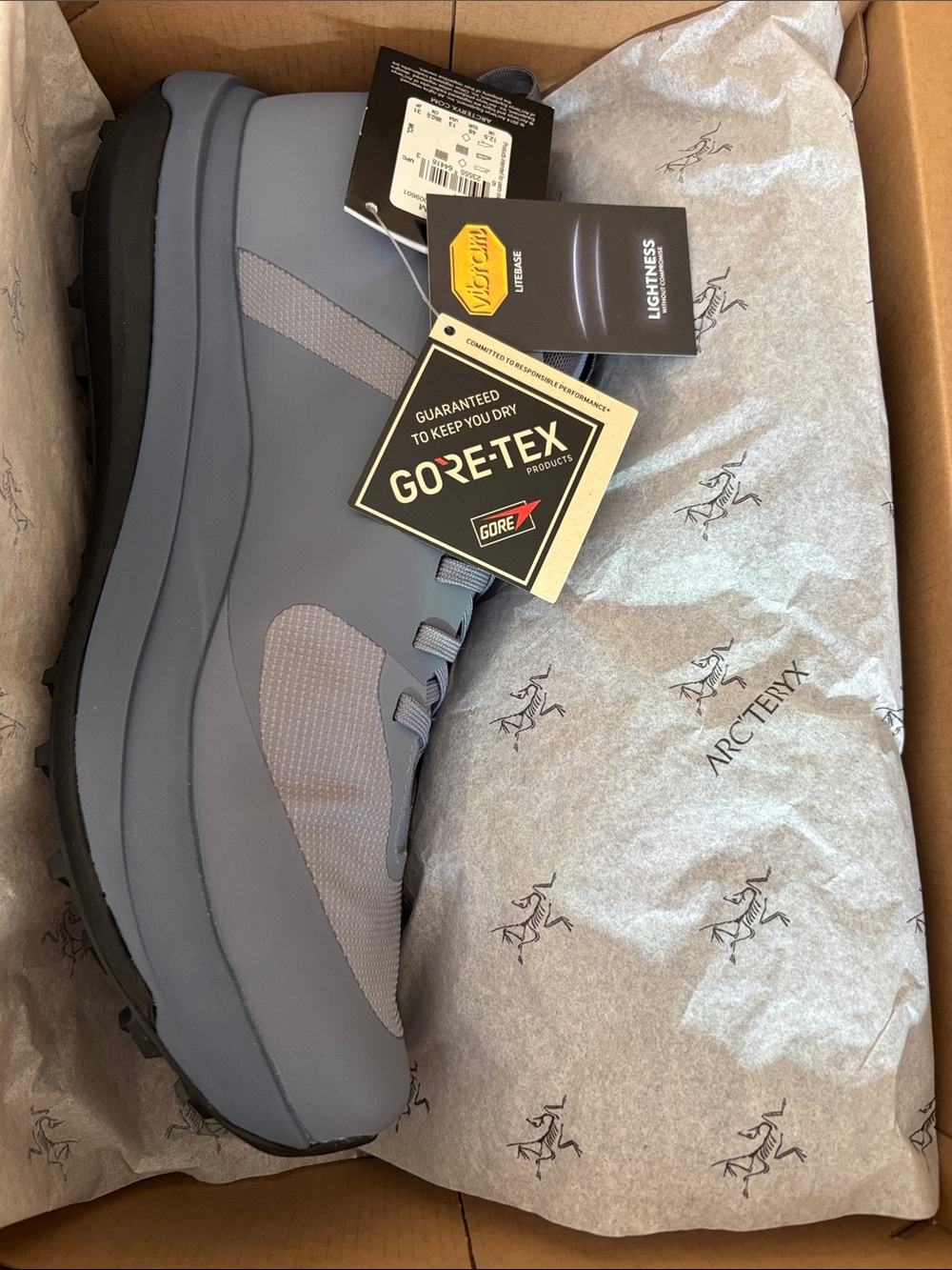 Arc'teryx Sylan GTX M trail running shoes